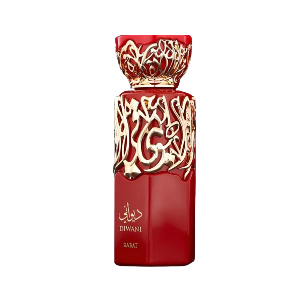 Diwani Rabat French Avenue EDP 100ml luxury perfume bottle front view showcasing sleek label design and cap packaging.