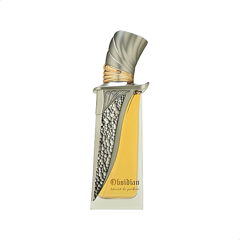 French Avenue Obsidian Perfume Bottle for Men and Women 100ml.