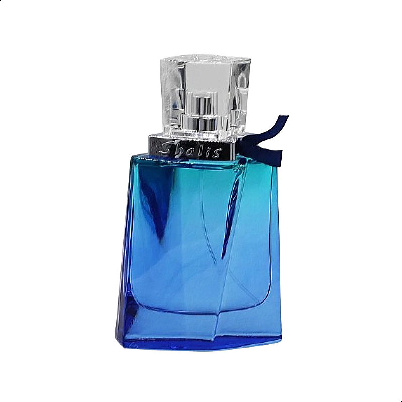Remy Marquis Shalis for Men 100ml Edt Original Bottle - Authentic Fragrance in Pakistan
