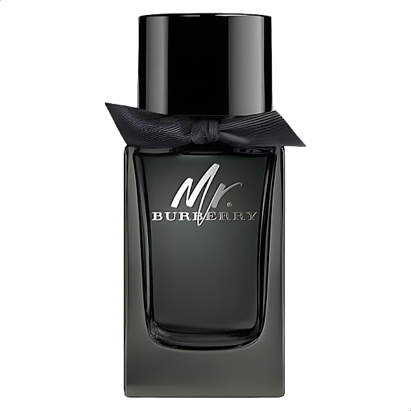 Burberry Mr. Burberry For Men Edp 150ml