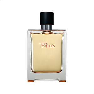 Terre D'Hermes For Men Edt 100ml
