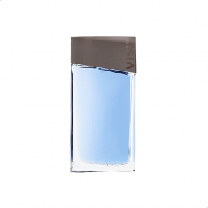 Azzaro Visit For Men Edt 100ml