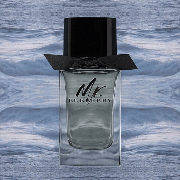 MAN EDT 100ML 1 modified