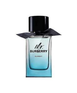 burberry element 100ml modified