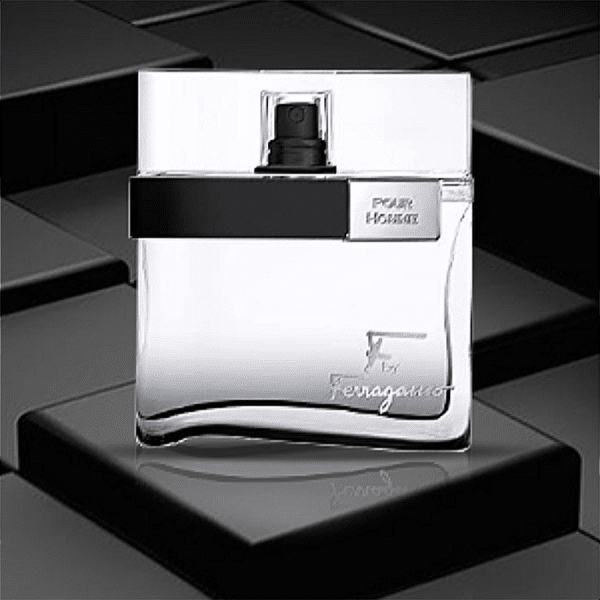 FERRAGAMO POUR HOMME EDT modified