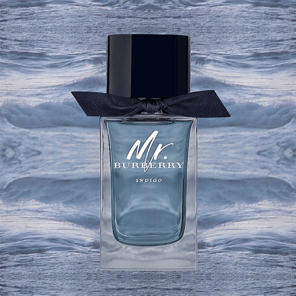 INDIGO EDT 100ML modified